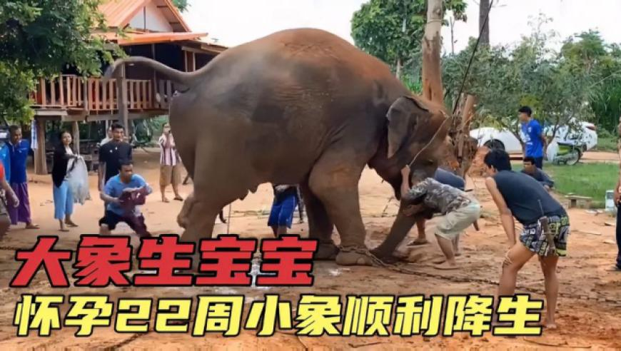 哪吒2又又又又破纪录了,香港港六开奖结果今天开什么号,精准解释落实的人生哲理_储蓄版V12.84