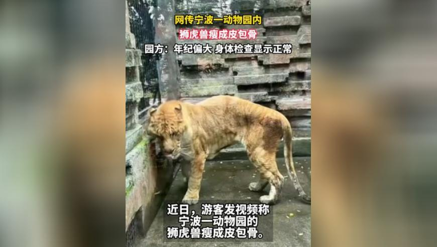 841995论坛网站王中王特色,快手明星都被惹毛了,多元化方案执行策略_GM版V9.71