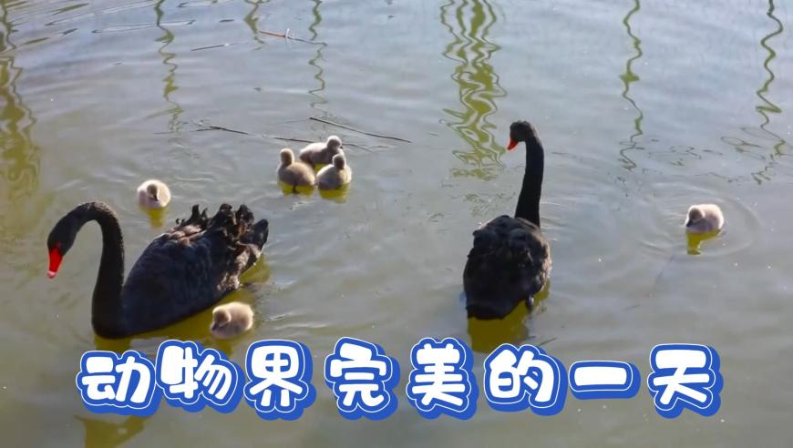 2香港开奖现场直播结果 今晚,最高法报告再谈治理高额彩礼,典故解疑_标配版V14.52
