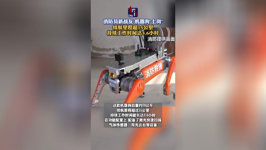 白小姐免费一肖一码,各行各业开跳胜利之舞,精准解释落实的人生哲理_视频版V4.77