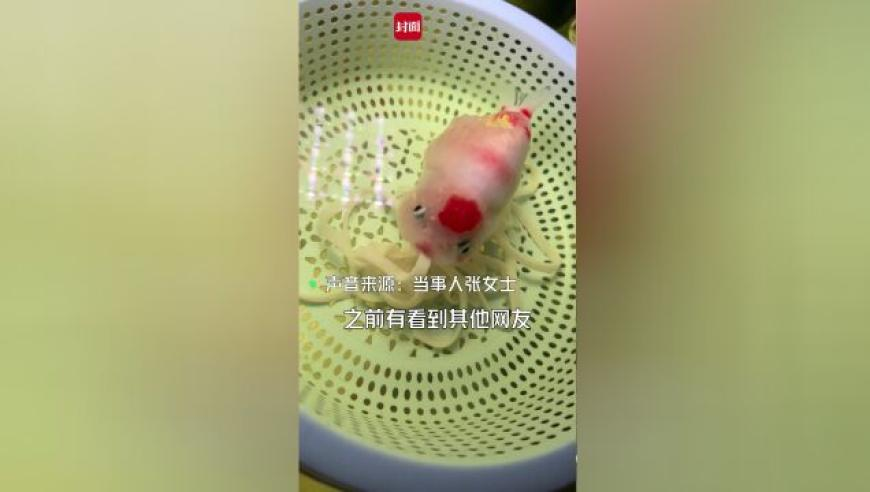 澳门马会传真论坛免费资料百度,中国神话人物传之哪吒篇,典故解疑_增强版V9.70