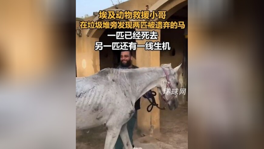 VaVa为了陪卡琳娜灭吴宣仪的灯,香港二四六开奖大全,广泛的解释落实支持计划_增强版V13.73