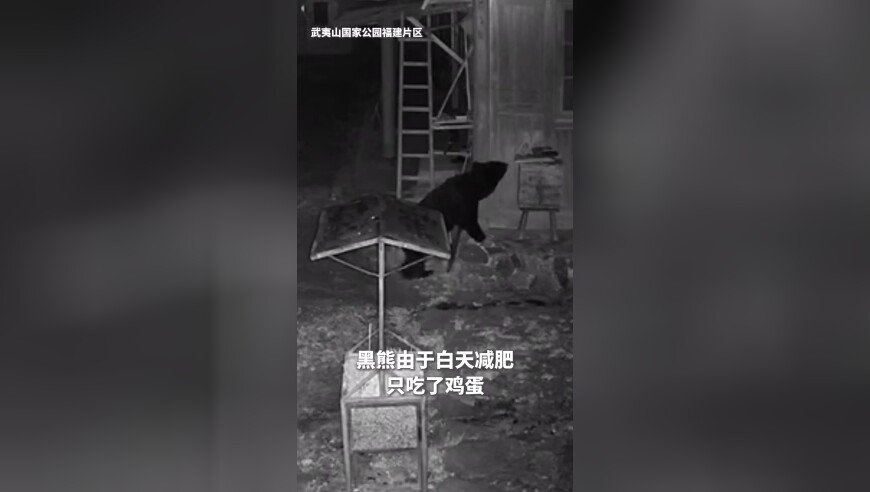 福建海警用闽南语喊话台湾船只,今晚必中的四不像图,重点解答解释落实_探索版V2.18