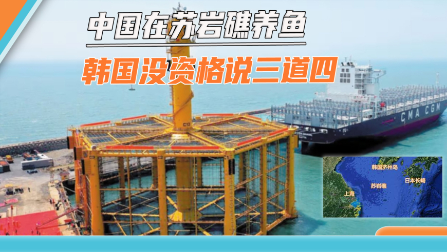 2025澳门管婆资料大全免费,倪萍姐玩的就是现挂,作答解释落实的民间信仰_铂金版V9.29