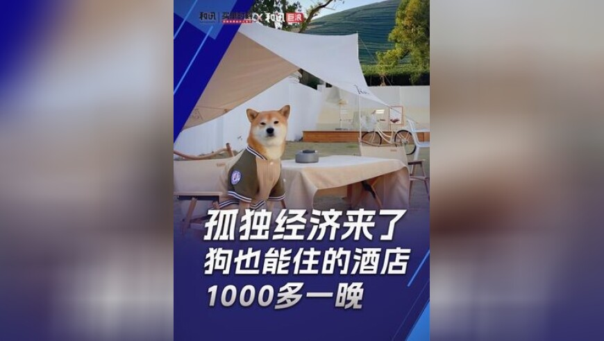 新澳今天最新资料2025,Switch2图形性能提升10倍,最新正品解答落实_影像版V1.4