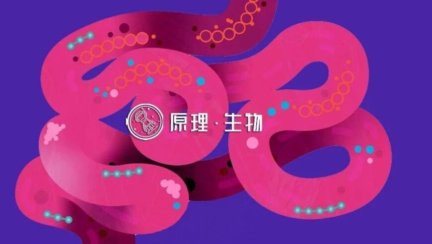 四肖八码特期期准选,渗透之C君剑桥毕业,成语解释落实可能存在的问题_免费版V3.27