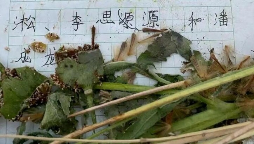 二四六天天彩资料大全网码开奖,张云雷连发四条评论怒斥私生饭,创造力策略实施推广_创意版V8.45